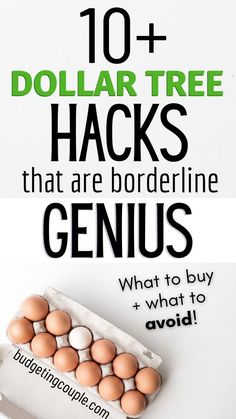 ten dollar tree hacks that are borderline genius what to buy and what to avoid