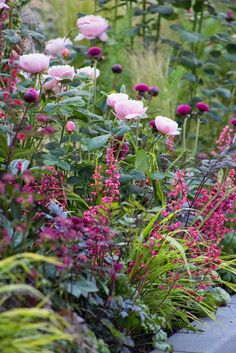 some pink flowers are in the middle of green plants and purple flowers on the other side