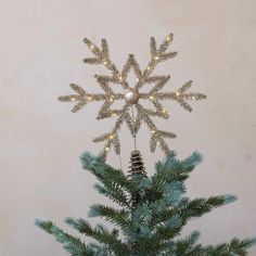 a christmas tree decorated with lights and a snowflake ornament on top