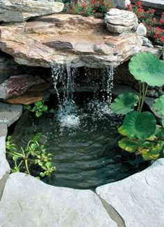 a small pond surrounded by rocks and plants