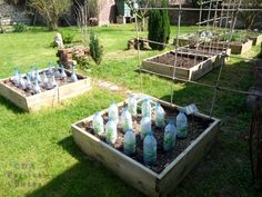 an outdoor garden filled with lots of water bottles