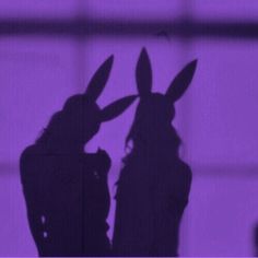 the shadow of two people with bunny ears on their heads, in front of a purple background