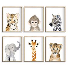 six framed pictures of different animals and their names