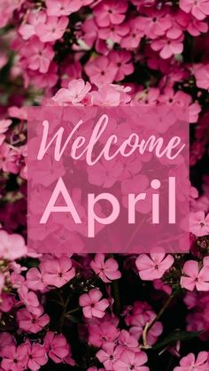 pink flowers with the words welcome spring in front of it and an overlay that says,