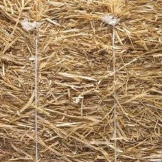 straw is piled on top of each other to create a wallpaper pattern in this photo