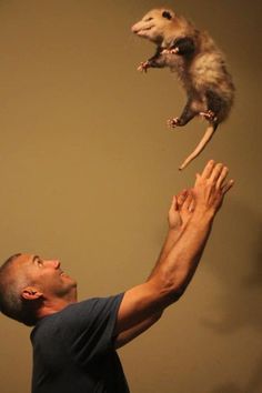 a man is trying to catch a small animal in the air with his hands and feet