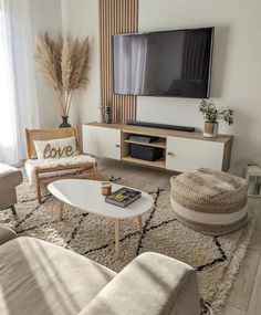 a living room filled with furniture and a flat screen tv on top of a wooden stand