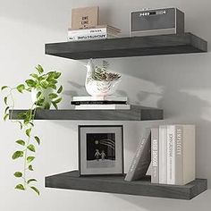 three shelves with books, plants and pictures on them