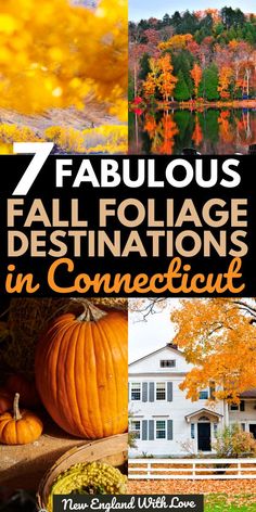 fall foliage and pumpkins with the title 7 fabulous fall foliage destinations in connection