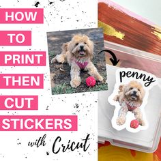 an image of a dog with balls in its mouth and the words how to print them out stickers