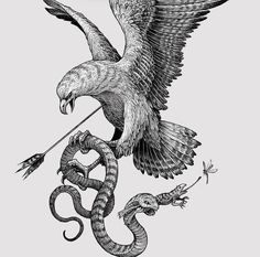 an eagle and snake are depicted in this black and white tattoo art print by person