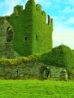 an old stone castle with ivy growing on it's walls and windows, in the middle of a green field