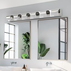 a bathroom sink with two mirrors above it and a plant on the wall next to it