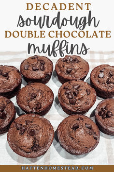 chocolate muffins with the words decadent sourdough double chocolate muffins