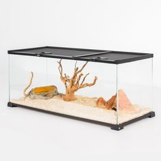 an aquarium filled with sand and rocks on top of a white table next to a tree