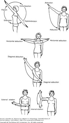 the diagram shows how to do different exercises