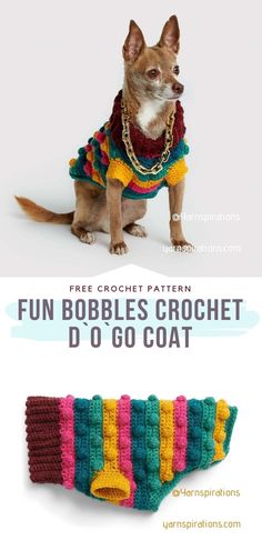 a small dog wearing a colorful crochet sweater and matching collar, with the words fun