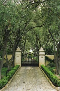 an iron gate is surrounded by trees and bushes