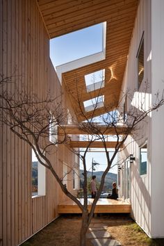 a tree in the middle of a room with wooden walls and stairs leading up to it