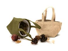 a bag and some pine cones are on the ground with it's handles open