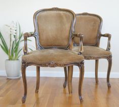 two chairs sitting on top of a hard wood floor next to a potted plant