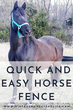 a horse with the words quick and easy horse fence on it's side in front of