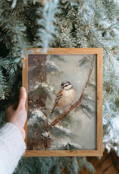 a bird is sitting on a tree branch in front of a person's hand