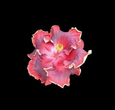 a pink flower with yellow stamens in the center on a black background, viewed from above