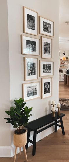 a black bench sitting next to a white wall with pictures on it and a potted plant