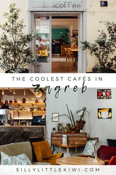 the coolest cafes in surreb