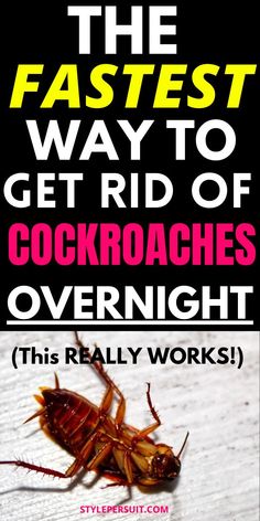 the fastest way to get rid of cockroaches overnight is with this really works