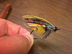 a person is holding a small yellow and blue fly with black tips on it's tip