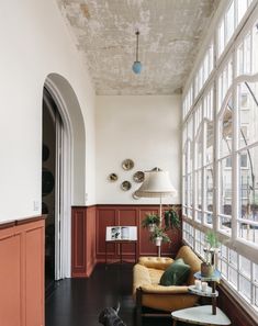 a dog sitting on the floor in front of a living room with lots of windows