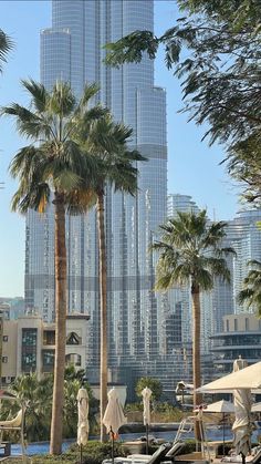 palm trees and lounge chairs in the foreground with skyscrapers in the back ground