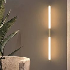 a wall light that is next to a plant