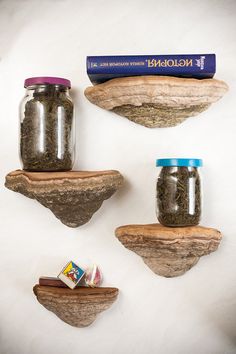 three jars are sitting on top of some rocks and one is filled with tea bags