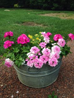 some pink and white flowers in a metal bucket on the ground near green grass,