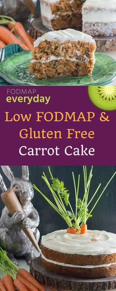 the cover of everyday low fodmap and gluten free carrot cake