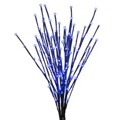 blue and white christmas lights in a vase