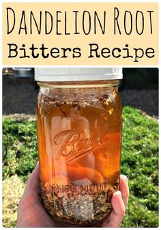 a hand holding a jar filled with food and text that reads dandelion root bitters recipe