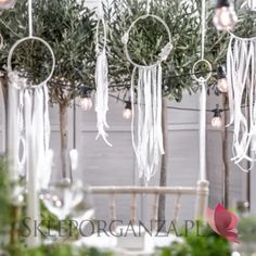 a table topped with lots of plants and hanging lights