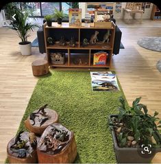 a living room filled with lots of plants and books on top of a green rug