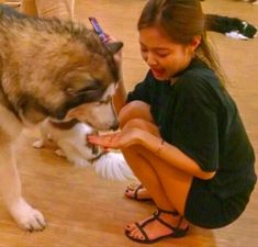 Jennie Debut, Cutie Patootie, Husky