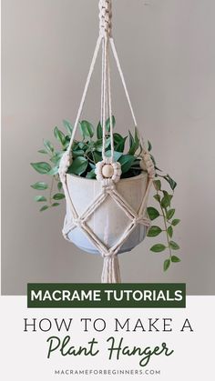 a potted plant hanging from a rope with text overlay reading how to make a plant hanger