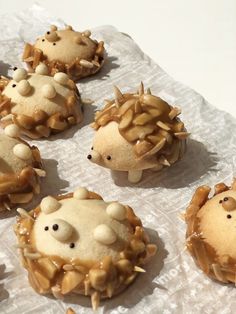 hedgehog cookies are decorated with icing and sprinkles on a piece of paper