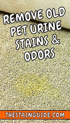 an image of carpet cleaning with the words remove old pet urine stains and odors