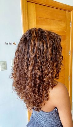 Brown Dyed Hair Curly, Curly Hair Color Ideas Light Brown, Dyed Light Brown Curly Hair, Light Brown Hair Dye Curly Hair, Reddish Brown Curly Hair With Highlights, Cinnamon Hair Color Curly, Chestnut Highlights Curly Hair, Copper Curly Balayage, Brown Curly Hair Caramel Highlights