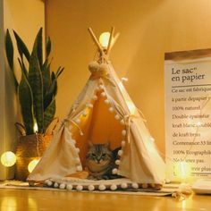 a cat is sitting in a teepee tent