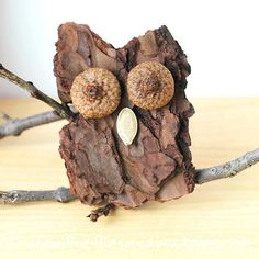 a piece of wood that has some kind of earring on top of it, sitting on a tree branch