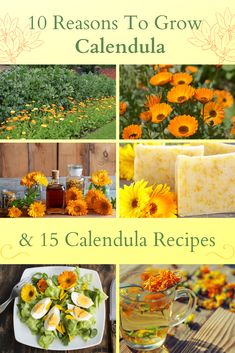 a collage of photos with flowers, soaps and other things to eat in the garden